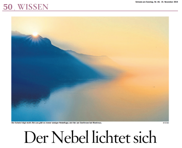 Enlarged view: screenshot Schweiz am Sonntag