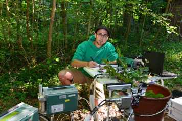 Photosynthesis measurements of beech leaves