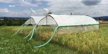 Two rain shelters covered with foil and with green tubes leading away from them in the field