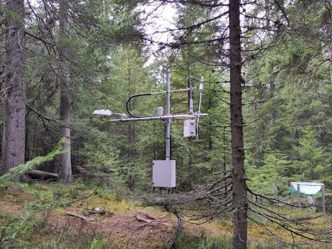 Enlarged view: View into the forest with subcanopy eddy covariance station clearly showing the additional inlet for CH4