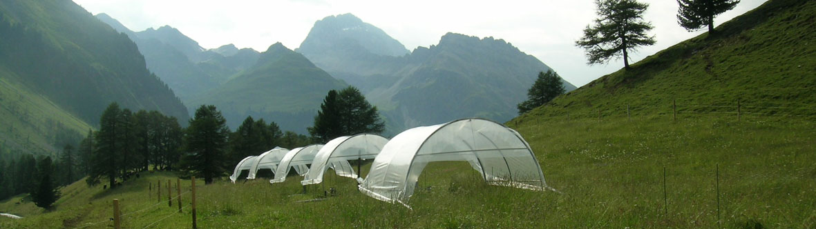 Enlarged view: Rain shelters at alpine grassland site Alp Weissenstein